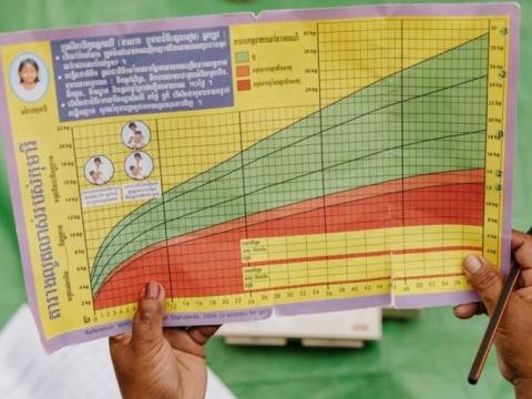 Health and Nutrition Research