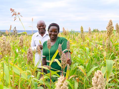 World Vision's Building Secure Livelihoods (BSL) project model is enabling communities in rural Kenya to thrive in farming, thus boosting their household food security and income. This has improved the well-being of children and families. ©World Vision Photo/Sarah Ooko.