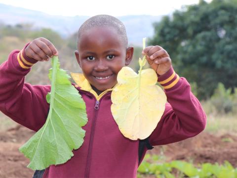 Quality Education, Eswatini