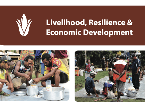 Livelihood, Resilience and Economic Development