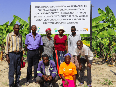 Tenda Banana Plantation: A Success Story Supported by World Vision Zimbabwe