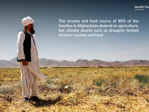 Drought Shocks