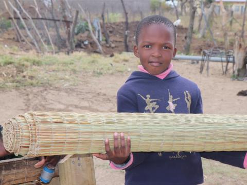 Livelihood, Eswatini