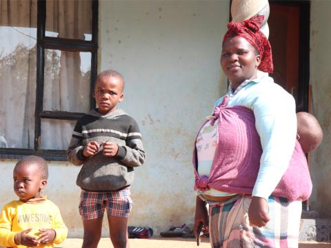 Livelihood, Eswatini