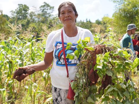 LIVELIHOOD AGRICULTURE CAPACITY STATEMENT