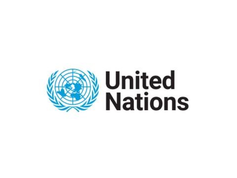 United Nations Logo