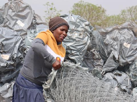 Backyard gardening, Livelihood, Eswatini