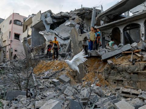 A dove flies over the debris of houses destroyed in Israeli strikes, in Khan Younis in the southern Gaza Strip October 11,