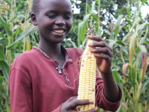 child with maize