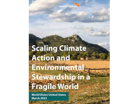 Scaling Climate Action and Environmental Stewardship in a Fragile World 