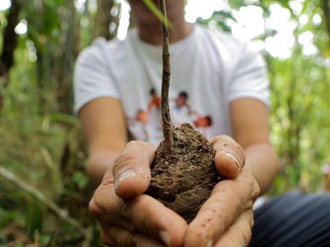 A child holding a plant