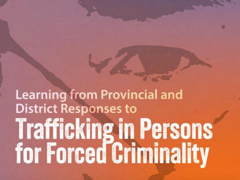 Learning from Provincial and District Responses to Trafficking in Persons for Forced Criminality