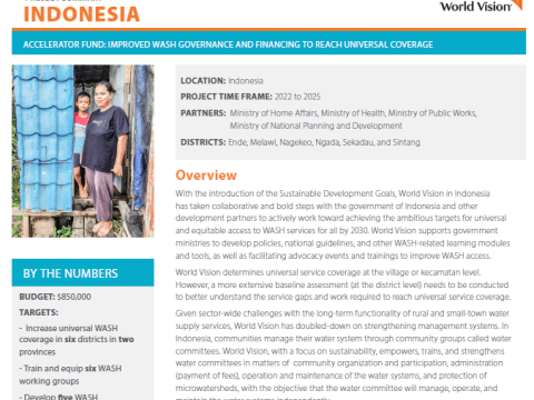 Indonesia Governance Case Study