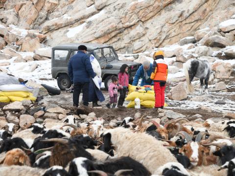 Disaster management in East Asia