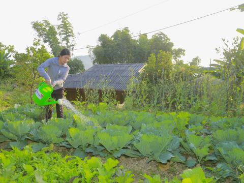 Safe water for life in Vietnam