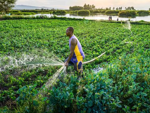 A man watering his plantation