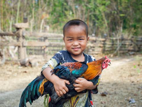 child with chicken