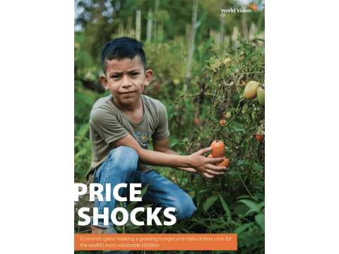 Price Shocks_Cover