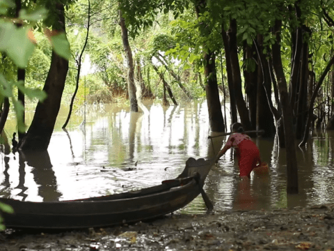 Water is the source of all lives Myanmar