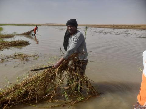 Assagaye a finalement eu la chance d’être sélectionné comme bénéficiaire des actifs du projet de résilience mise en œuvre par World Vision en partenariat avec le PAM.