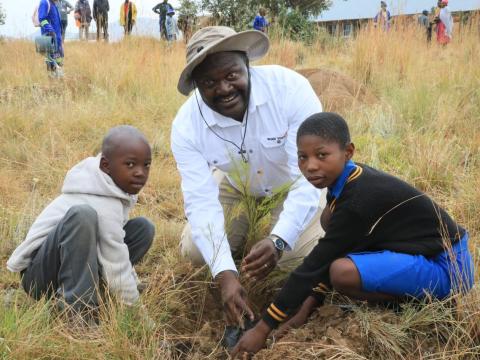 Climate Action through Tree Planting
