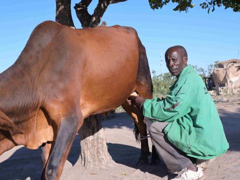 John Mpande