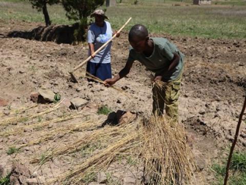 World Vision El Niño Drought Response