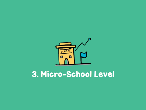 Micro-School Level