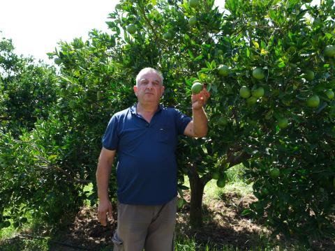 Orhan stands lovingly beside his tangerine trees, a portrait of deep connection and care—a bond between a man and the land he nurtures.