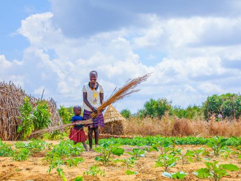 Zai Pits Transforming Nutrition and Food Security in Karamoja