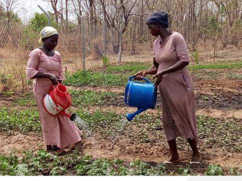 Dry season farmers