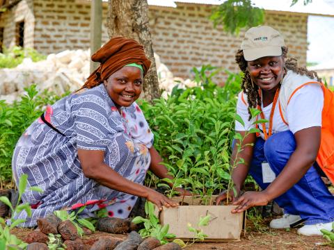 A farmer in Vanga Ward, Kwale County, collects tree seedlings during a Restore Africa tree distribution drive. As of April 2025, the programme had distributed over 285,000 seedlings smallholder farmers in the county.