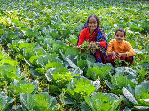 Mother and son in field of crops farming in Bangladesh