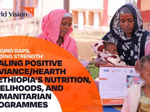 PDH Innovation Summary - Ethiopia