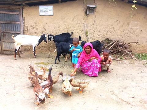 Impact of Conditional Cash Transfer project