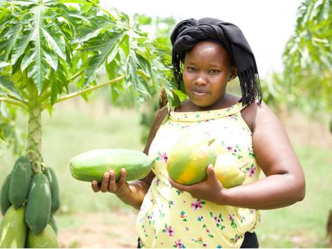 Jesca Kiprop has successfully integrated mixed cropping with thriving pawpaw and mango trees — the region’s dominant fruit crops. A kilogram of pawpaw sells for Ksh. 45, providing her with a regular and steady source of income to support her family. © World Vision Photo/Felix Pilipili
