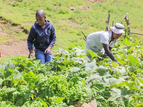 Faith and Climate Smart Agriculture