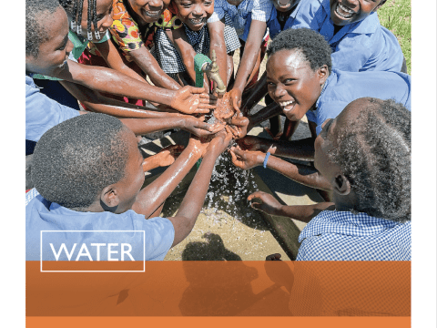 WASH Annual Review: 2024 Cover