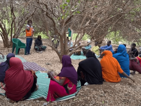 A group of farmers gathered under the trees