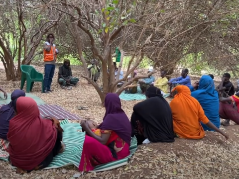 Somali farmers gathered with WV staff