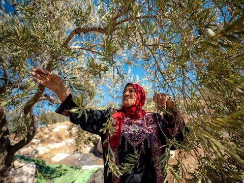 Rooted in Resilience: Sherin's Story of Hope and Harvest