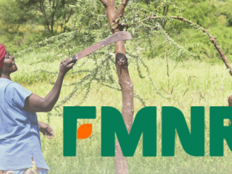 FLS FMNR Logo