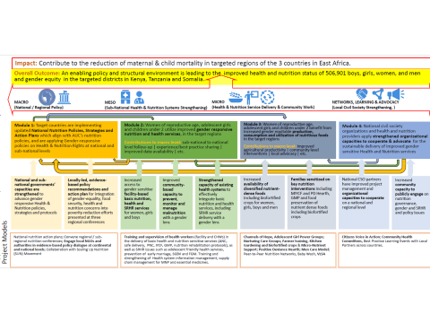 Grow ENRICH Theory of Change cover