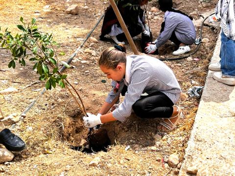 Palestinian girl planting a tree