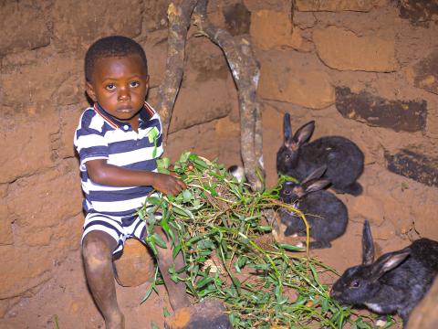 Oscar feeding their rabbit