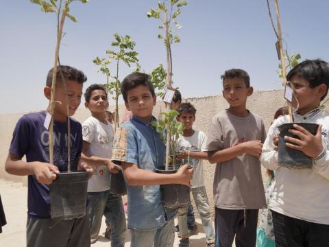 Children planting trees