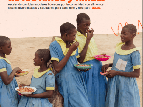 School Meals Policy Brief