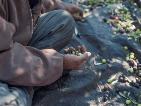 Poverty