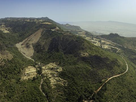 Reforestation_FMNR