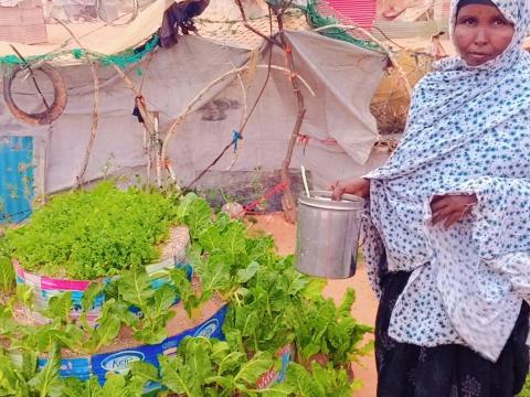 Through the Joint Resilience Project (JRP) by World Vision, with support from the World Food Program (WFP), Faduma and other households received drought-tolerant vegetable seeds, farming tools, on-site coaching by skilled agricultural extension officers and agronomists, training on good agricultural practices, fodder production, and post-harvest management.